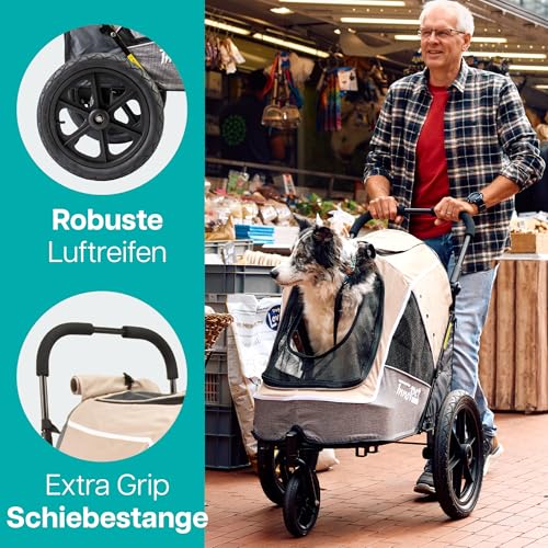 Hundebuggy und Fahrradanhänger für Hunde - Innopet Sporty Evolution Latte 2-in-1 - Beige/Grau - Reflektoren & Sicherheitsleinen - Hundewagen für alle Untergründe