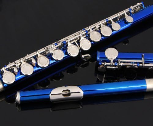Glory Closed Hole C Flute With Case, Tuning Rod and Cloth,Joint Grease and Gloves Blue