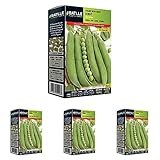 Guisante RONDO (Paquete de 4)