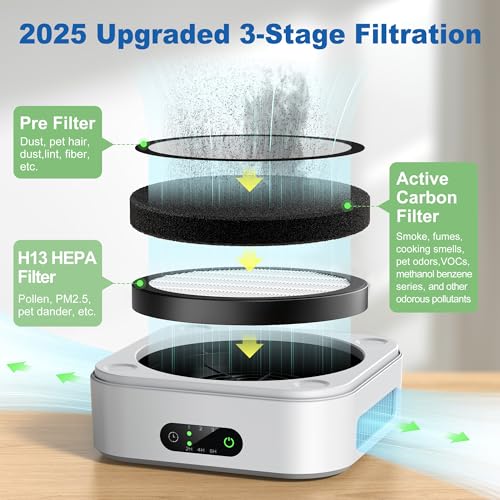 TDBYWAE Air Purifier for Home