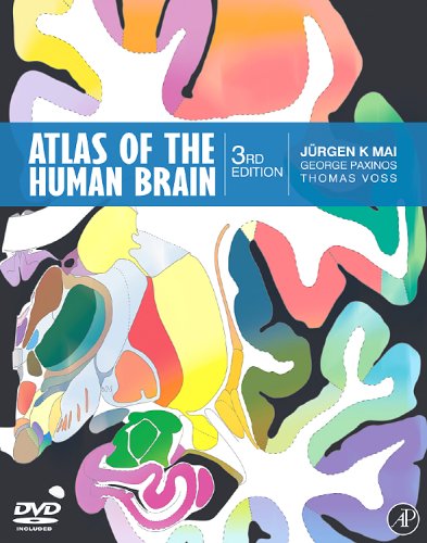 Atlas of the Human Brain: 9780123736031: Medicine & Health Science ...