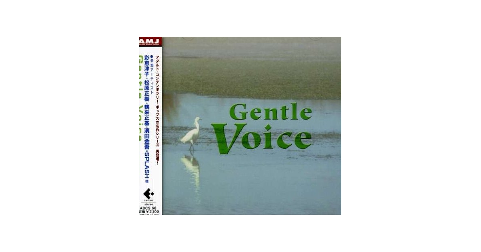 Gentle Voice: Amazon.ca: Music
