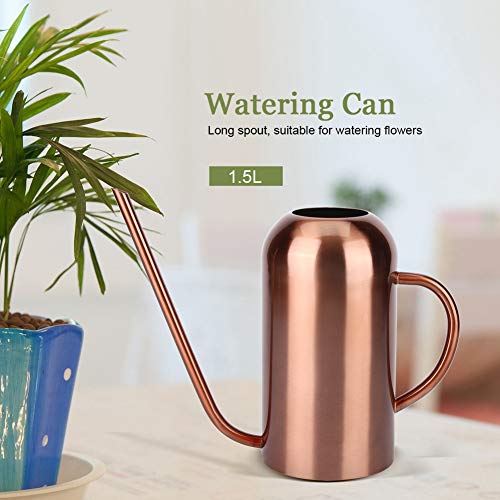 Regadera de acero inoxidable de 1,5 L, boquilla larga, multifuncional, para jardín, diseño de flores, plantas, para uso doméstico y exterior