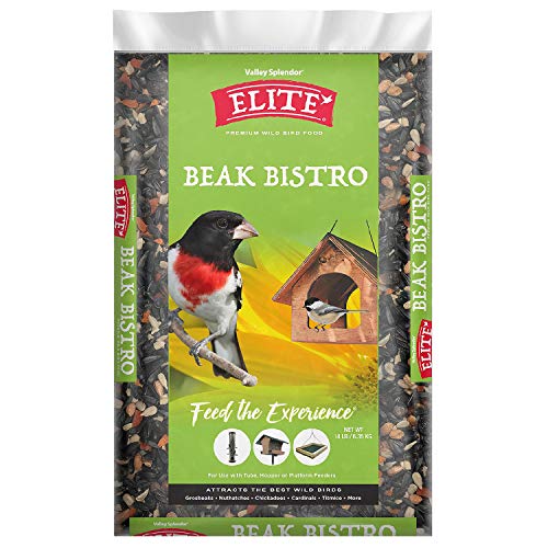 Best Valley Splendor Bird Seed For Your Feathered Friends