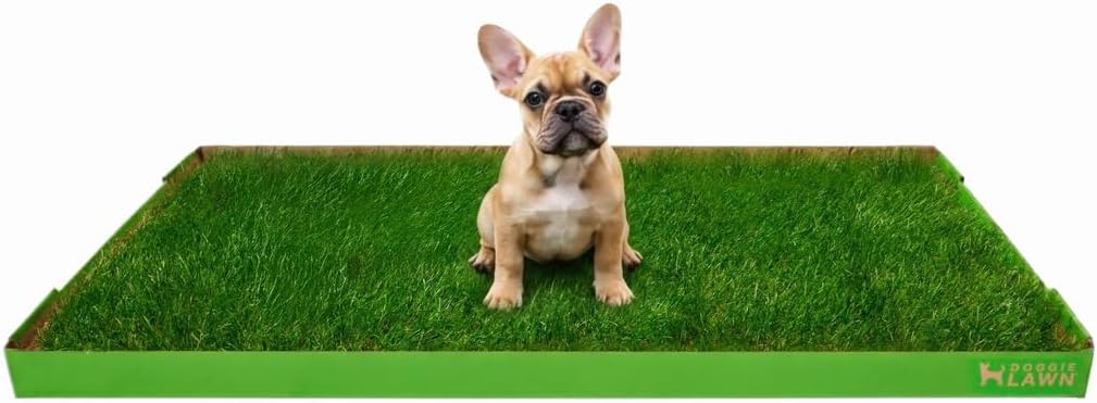 Real Grass Puppy Pee Pads - Potty Training Pads for Dogs & Puppies - Indoor Grass Dog Potty for Apartments & Bad Weather - Natural Living Grass - XLarge 24 x 48 Inches - Made in USA