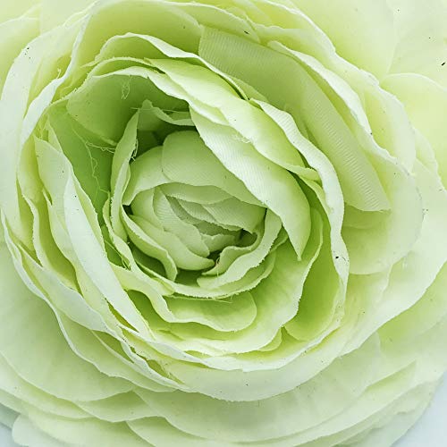 Riese Ranunculo Bouquet mit 55 cm natürlicher Berührung mit Ø12 cm Blüten in Weiß