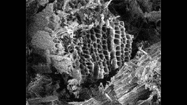 Carbón Activado Granular 5 Libras Grado Agua Potable miniatura 5
