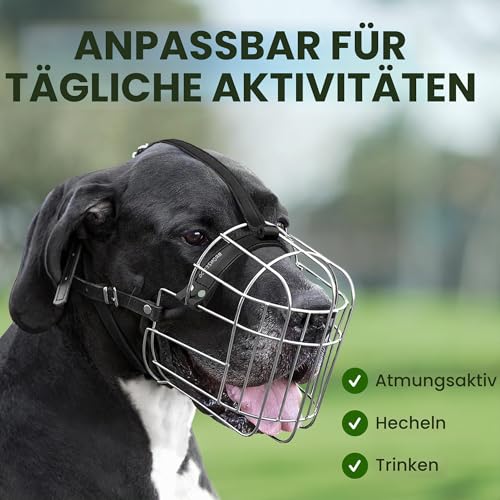 BRONZEDOG Hundemaulkorb Verstellbar Robustes PVC/Metalldrahtkorb für Große und Sehr Große Hunde mit Lederbändern Atmungsaktiv, Trinkfähig, Training, Verhindert Beißen (Great Dane, Edelstahl)