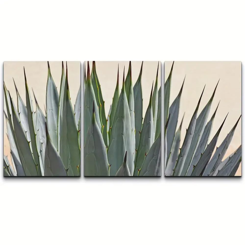 Wbyzac Multicolored Wall Pictures-Canvas Print Wall Art Cactus Succulent Nature Wall Pictures Rustic Colorful For Living Room Kitchen Office Bedroom Office Decor Artwork-30 * 50Cm*3Pcs (No Frame)