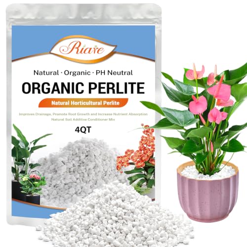 Riare 4 Quarts Perlite organique pour plantes, amendement sol horticole