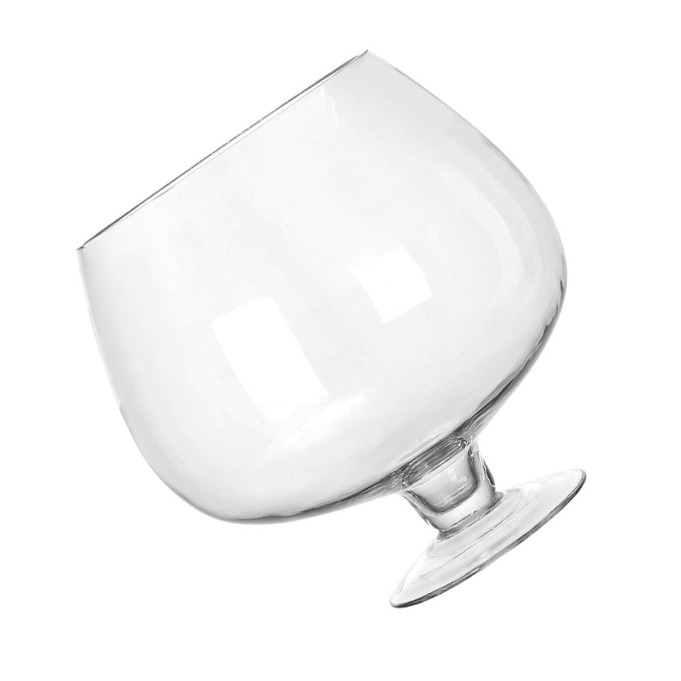 Kit hydroponique pour bureau et aquarium décoratif transparent en verre de 19x19 cm