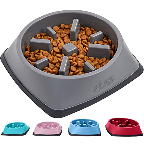 Top 7 Best Slow Eating Dog Bowl Reviews BNB