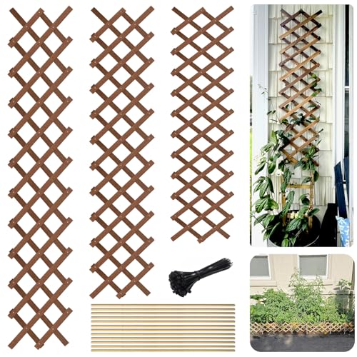 ciAmore Expandable Trellis