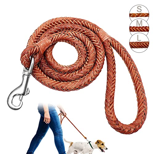 Braided Leather Dog Leash Close-up
