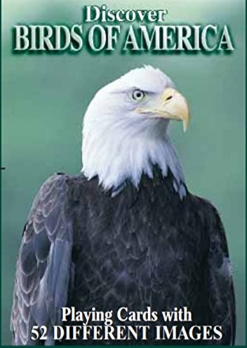 Discover Series Fun Playing Cards - Informational & Educational (Birds of America)