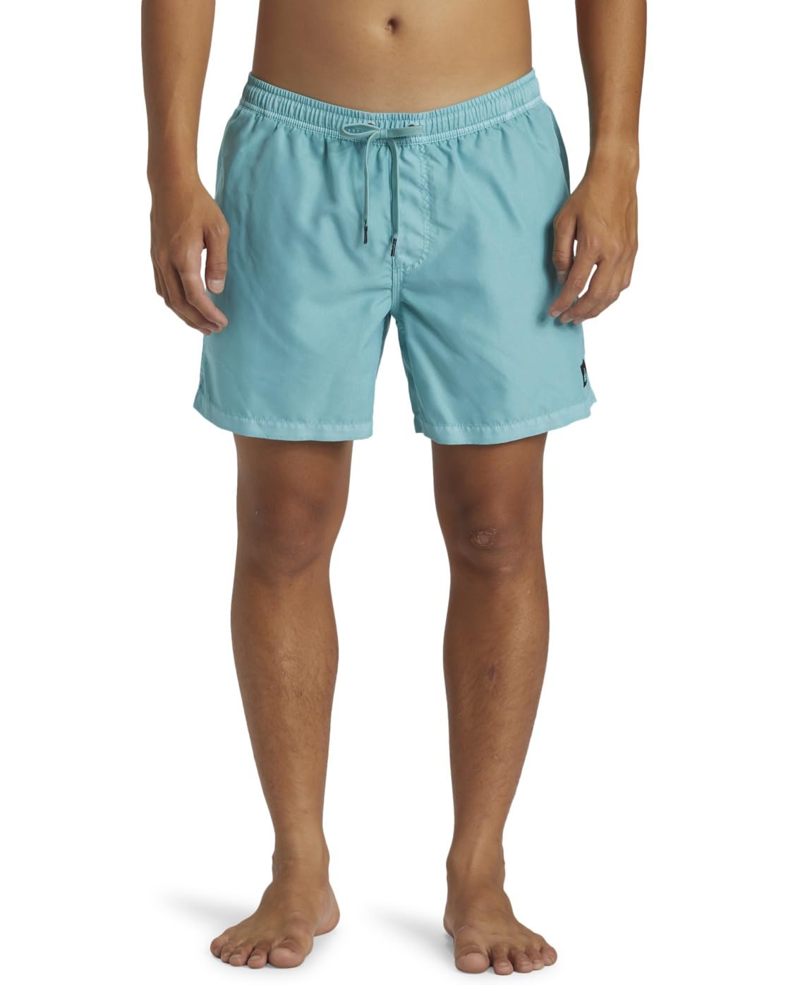 Quiksilver Everyday Surfwash Volley 15" - Swim Shorts for Men