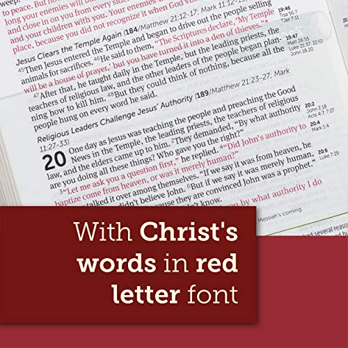 Image of NIV Life Application Study Bible, Third Edition, Large Print (Red Letter, Hardcover)