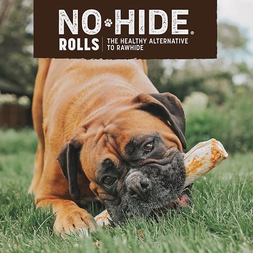 Earth Animal No Hide Large Chicken Flavored Natural Rawhide Free Dog Chews Long Lasting Dog Chew Sticks | Dog Treats for Large Dogs | Great Dog Chews for Aggressive Chewers (1 Pack) Earth Animal No Hide Large Chicken Flavored Natural Rawhide Free Dog Chews Long Lasting Dog Chew Sticks | Dog Treats for Large Dogs | Great Dog Chews for Aggressive Chewers (1 Pack)