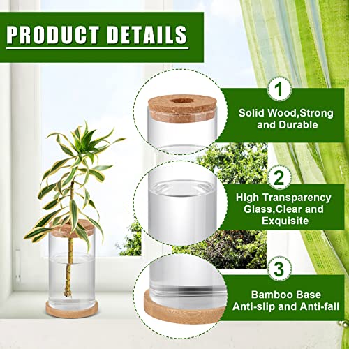 6 Pcs Plant Terrarium Desktop Glass Planter Plant Propagation Tabletop Propagation Vase Containers With Cork And Wooden Saucer For Growing Hydroponic Plants Garden Home Office Decor (3.35 X 6 Inch) #TOP3