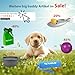 big buddy® Futterdummy für Hunde | Apportierbeutel, Futterbeutel, Hundetraining, Agility Training, Hundeerziehung, Dummy für leckerlies - extrem strapazierfähig (Bulli Grün)