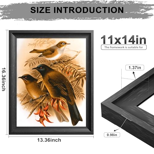 Image of 11x14 Picture Frame Black with Black Back Board, Curved Extra Wide Edges, Wooden Vintage Style Picture Frame 11x14 inches for Wall Decor.