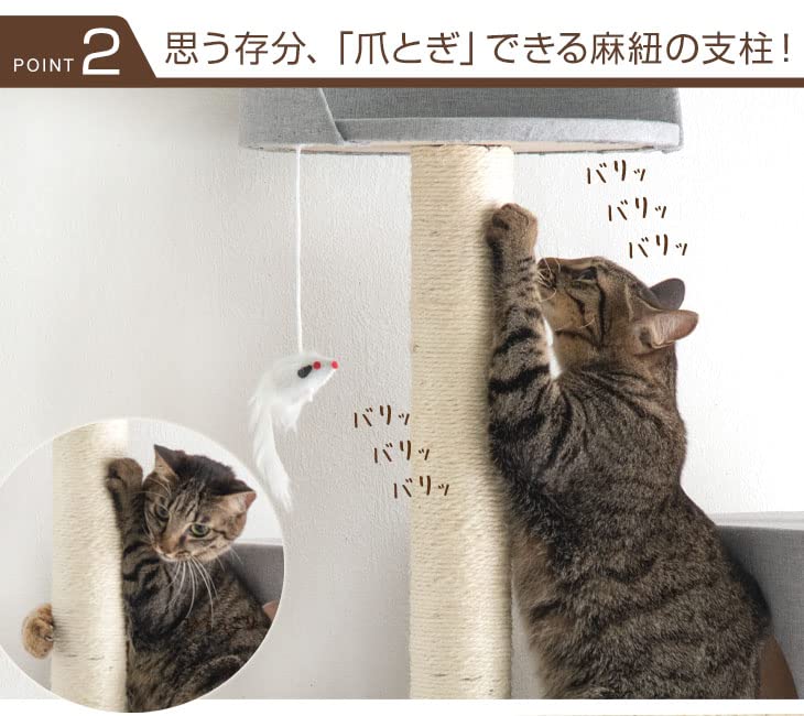 Amazon | タンスのゲン キャットタワー 据え置き 150cm ハンモック付き Amazon | タンスのゲン キャットタワー 据え置き 150cm ハンモック付き