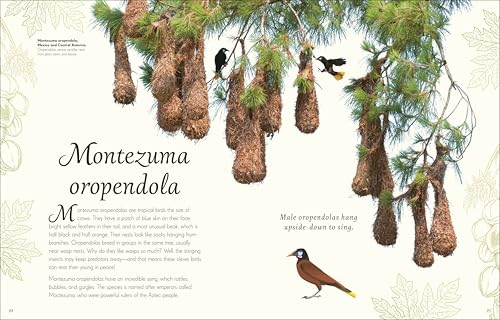 An Anthology of Exquisite Birds (DK Children's Anthologies) - Image 7