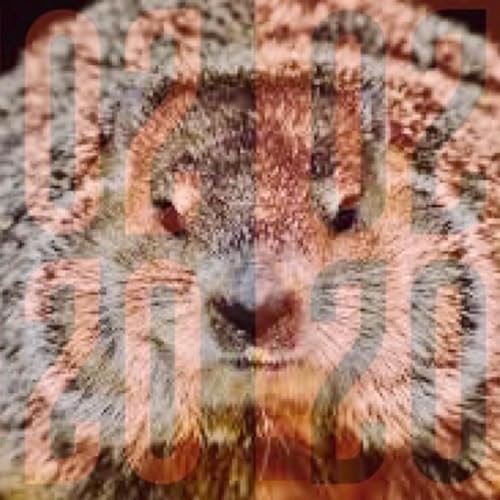 Dear Refeoh, Episode 71- Palindrome Podcast Por capa