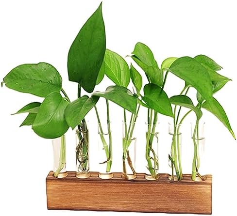 Propagation Stations Planter Hydroponics Plants Glass Terrarium Bulb Vases with Stand