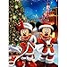 Produktbild Beauty Beast Full Drill 5D Diamond Painting Embroidery Cross Craft Art  Christmas Dress Cuople 30X40CM