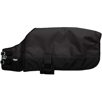 what's the best dog shampoo