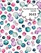 Planificador diaro 2022: Colores pastel rosa verde azul. Agenda de un año. Formato largo. Una página por día, horarios de 6 am / 11 pm, lista de tareas pendientes, notas. Calendario.