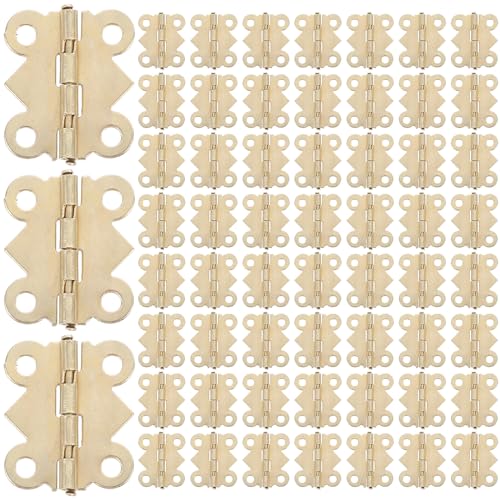 Vaguelly 100 gfUC^WG[{bNXpqW FBe[W ؐ[hAqW