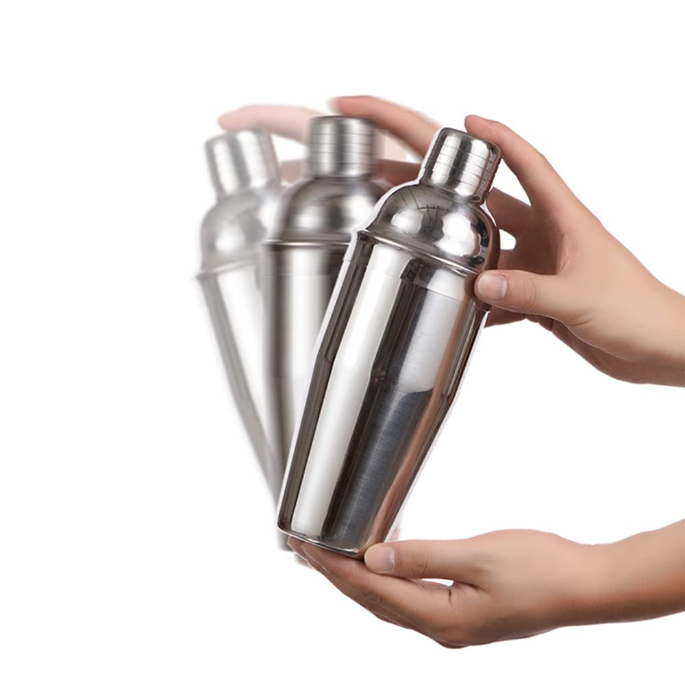 12 Pezzi Bar Bartender Kit Cocktail Shaker Set in acciaio inossidabile con elegante vassoio di bambù (550ML)