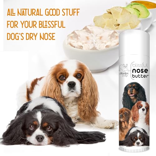 Image of The Blissful Dog Cavalier King Charles Spaniel Nose Butter, Versatile Dog Nose Balm for Dry Nose, Handcrafted Nose Moisturizer, Easy-to-Apply Dog Essentials, Unscented, 0.50 oz.