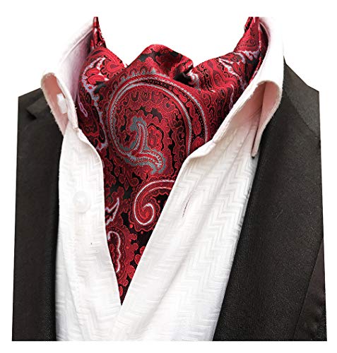 MENDENG Men's Red Grey Paisley Woven Silk Cravat Necktie Scarf Formal Ascot Ties