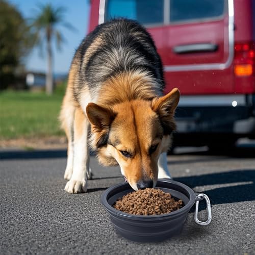 Image of Dog Bowl Pet Collapsible Bowls, 2 Pack Collapsible Dog Water Bowls for Cats Dogs, Portable Pet Feeding Watering Dish for Walking Parking Traveling with 2 Carabiners (Black+Black, Medium)