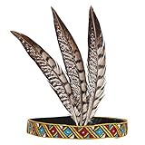 Abaodam Indian headdress headband for native American costume- Indian Halloween costume adult headband- Headpiece Fashion Elegant Flapper Headband- Hair Decoration