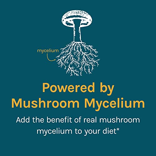 Host Defense Reishi Powder - Mushroom Mycelium Powder - Heart & Immune Health Support Supplement - Mushroom Supplement to Support Energy & Vitality - Aids Overall Well-Being - 3.5 oz (66 Servings)* - Image 6
