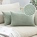 MIULEE 2er Set Kissenbezug Dekokissen Kissenbezüge Kissenhülle Zierkissen Sofakissen Kordsamt Deko Weich Couchkissen Bezug Kissenhüllen für Sofa Wohnzimmer Polsterkissen 30x50 cm Bohnengrün