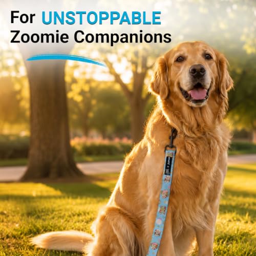 Image of Bowlers Dog Leash for Small, Medium & Large Dogs | Owl & Blue Design | Durable Nylon Pet Walking Lead | Strong Metal Hook | Comfortable Grip for Daily Walks & Training