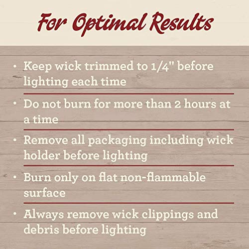 Our Own Candle Company SIC1-PEU Peppermint Eucalyptus Scented 13 Ounce Mason Jar Candle thumb #1