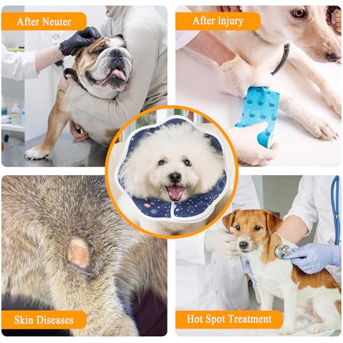 Xiuyer Halskrause Hund, Halskrause Katze, Hunde Halskrause, für Kleine Hunde und Erwachsene Katzen, Leckschutz nach Op Hund, Beeinträchtigt Nicht das Trinken und Essen(Blau L)