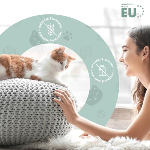 animigo L-Lysin für Katzen - 250g Pulver - Essenzielle Aminosäure L Lysin - Inklusive Messlöffel - Frei von Gluten & Laktose - Für jeden Alters - Ergänzungsfuttermittel für Katzen