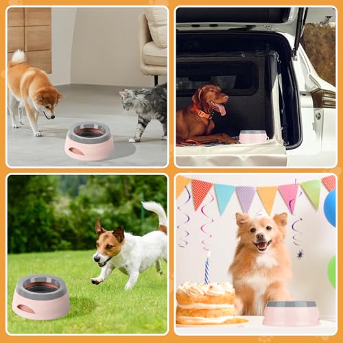 Wassernapf für Hunde Unterwegs 750ml, Qianyou Auslaufsicher Spritzschutz Fressnapf Hundenäpfe Katzenapf Haustier rutschfest Auto Reise Trinknapf Plastik Abnehmbar Tragbar Wasserschüssel Rosa