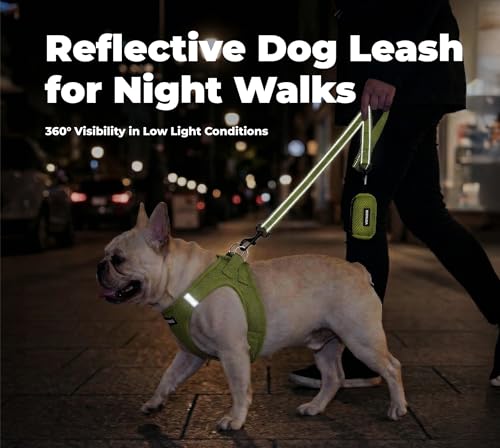 Image of Best Pet Supplies Voyager Reflective Dog Leash or Collar with Neoprene Handle, for Small, Medium, and Large Breed Puppies, Cute and Heavy Duty for Walking, Running and Training - Lime Green (Leash), L