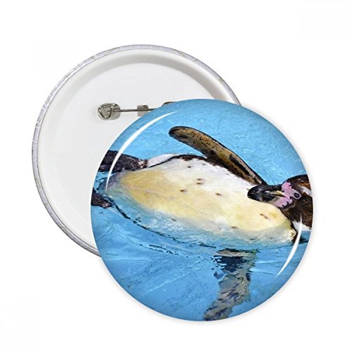 Badge pingouin Antarctique : lot de 5 broches rondes L pour customiser vos vêtements