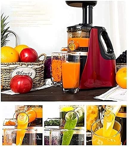 Extractor de Jugos Prensado en Frío Multifuncional 2 Velocidades Motor Silencioso miniatura 5
