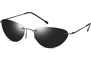 Matrix Neo Trinity Agent Smith Costume Sunglasses, Rimless Black Glasses for Men and Women