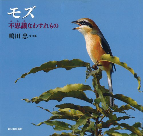 モズ: 不思議なわすれもの (日本の野鳥) | 嶋田 忠 |本 | 通販 | Amazon